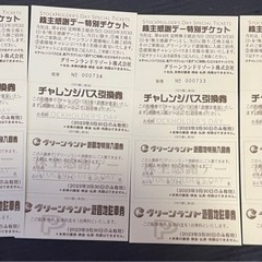 グリーンランド　優待券
