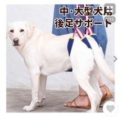 歩行補助ハーネス 大型犬用