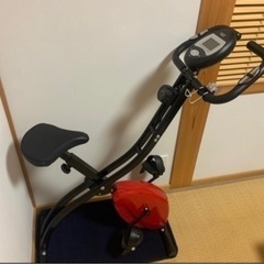 【美品】RIORES ファイトネスバイク エックス2