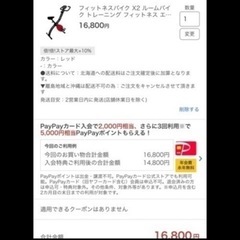 【美品】RIORES ファイトネスバイク エックス2の画像