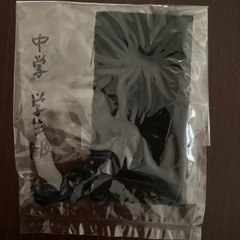 カンコー学生服175Aの画像