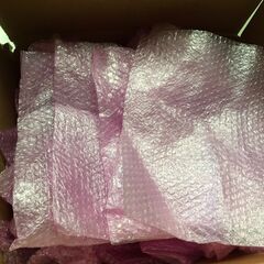 プチプチ袋 平袋 50枚セット フラップなし マチなし 縦34cm 横24cm 開口部短辺側の画像