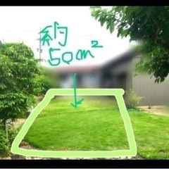 芝生のお手入れお任せください。の画像