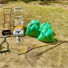 芝生のお手入れお任せください。の画像