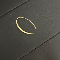 ピアス1つのみ【決定】