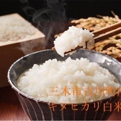 お米 キヌヒカリ3kg 精米済み