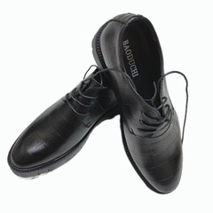 新品　未使用　ビジネスシューズ　シークレットシューズ　10cmup 27cmの画像
