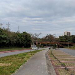 朝活 ウォーキング