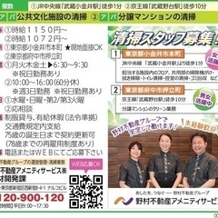 分譲マンションの清掃/WO00000558812_20230318の画像