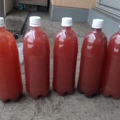 PSB 光合成細菌 1Lの画像