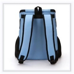 未使用折りたたみ ペット リュック ブルー Sサイズ スリング 軽量 コンパクトの画像