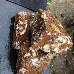 廃菌床 畑の土に混ぜたりやカブトムシやクワガタの幼虫の餌に 値下...