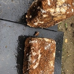 廃菌床 畑の土に混ぜたりやカブトムシやクワガタの幼虫の餌に 値下げいたしました。の画像