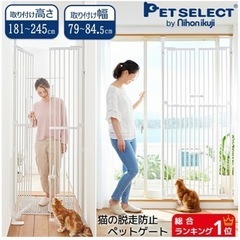 その他 Hi-STANDARD brokker FAT WRECK CHORDS ver Hi-standard brokker FAT WRECK CHORDS ver