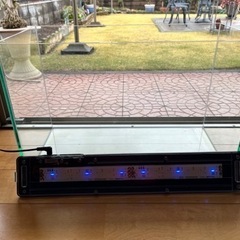 グラステリア水４５センチサイズ&LED ライト