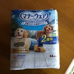 ペット用　小型犬用　オムツ　S 男の子用　マナーウェア