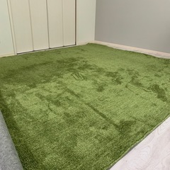 ニトリ　カーペットKSシャギー　グリーン　200×240センチ
