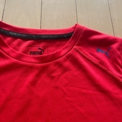 差し上げます！PUMA Tシャツ　140㎝の画像