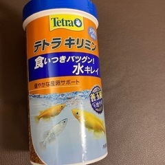 メダカのエサの画像