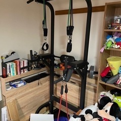 0¥ STEADY 懸垂器具　（取りに来ていただける方限定）