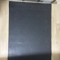 0¥ STEADY 懸垂器具　（取りに来ていただける方限定）の画像