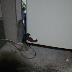 業務用冷凍庫の画像