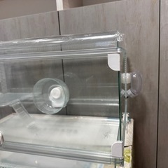 ハムスター　ケージ　大型　美品　GEX グラスハーモニー600の画像