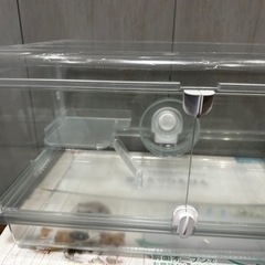 ハムスター　ケージ　大型　美品　GEX グラスハーモニー600の画像