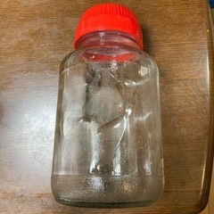 梅酒用ガラス瓶　大2つ　小3つ