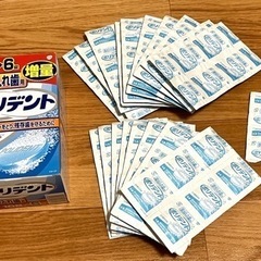 部分入れ歯用ポリデント 110錠