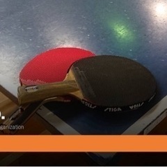🏓卓球仲間募集してます🏓