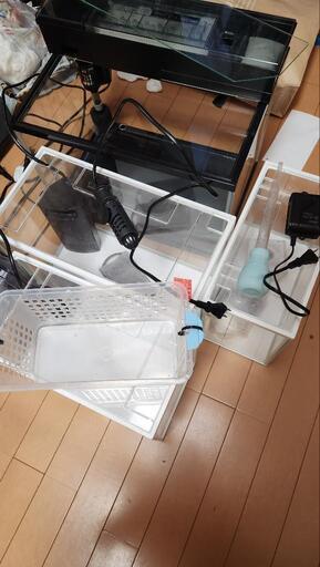 水槽4個フルセット+αとベタセット23日まで