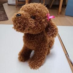 トイザらス　犬