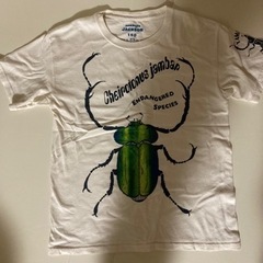 テナガコガネのTシャツ