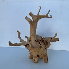 大きな流木①　変木　横60㎝　縦60㎝　奥行35㎝の画像