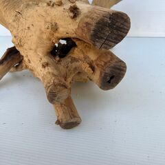 大きな流木①　変木　横60㎝　縦60㎝　奥行35㎝の画像