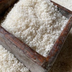 4年産　キヌヒカリ　玄米　30kg  の画像
