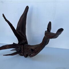 大きな流木②　変木　横62㎝　縦80㎝　奥行60㎝の画像