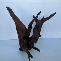 大きな流木②　変木　横62㎝　縦80㎝　奥行60㎝の画像