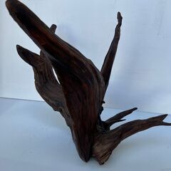 大きな流木②　変木　横62㎝　縦80㎝　奥行60㎝の画像