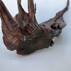 大きな流木②　変木　横62㎝　縦80㎝　奥行60㎝の画像