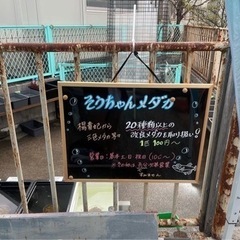 メダカ屋オープンしました！