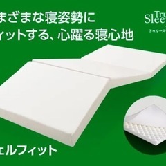 超格安❗️トゥルースリーパーウェルフィット中反発の画像