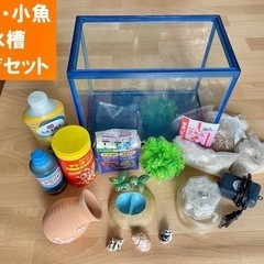 金魚・小魚用水槽飼育セット(中古使用品)