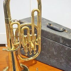 【苫小牧バナナ】Nikkan TOKYO No.2A 36060...