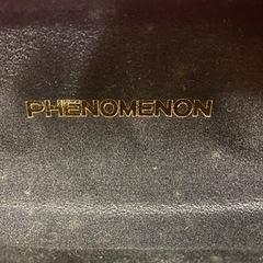 PHENOMENONのサングラスの画像
