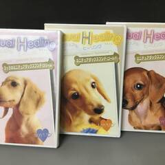 🔷🔶🔷By1/49　DVD「Visual Healing ミニチ...