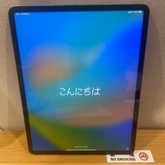 iPad Pro 第6世代　セルラーモデル　128GB