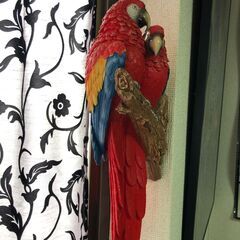 showpieces展示品（三郷市早稲田）の画像