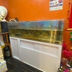 水族館